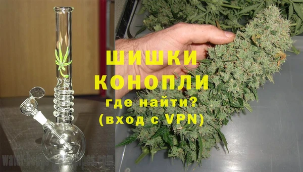 винт Белокуриха