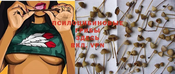 винт Белокуриха