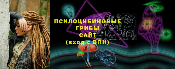 марки lsd Богданович